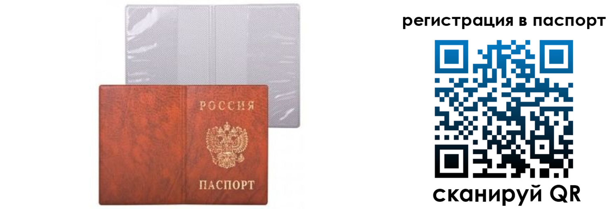 прописка ребенка в Североморске